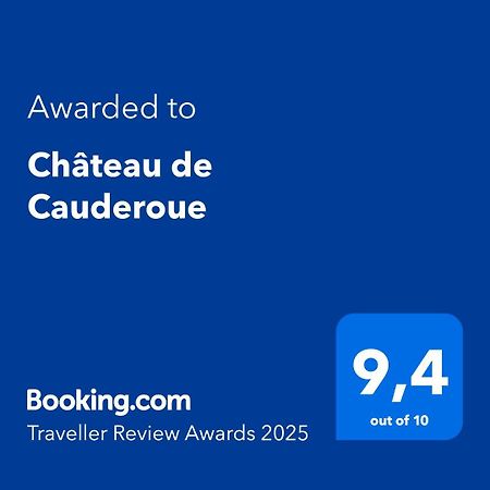 Chateau De Cauderoue Nérac Buitenkant foto
